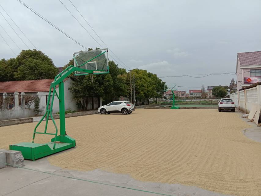 先進村宛虹路320號籃球場
