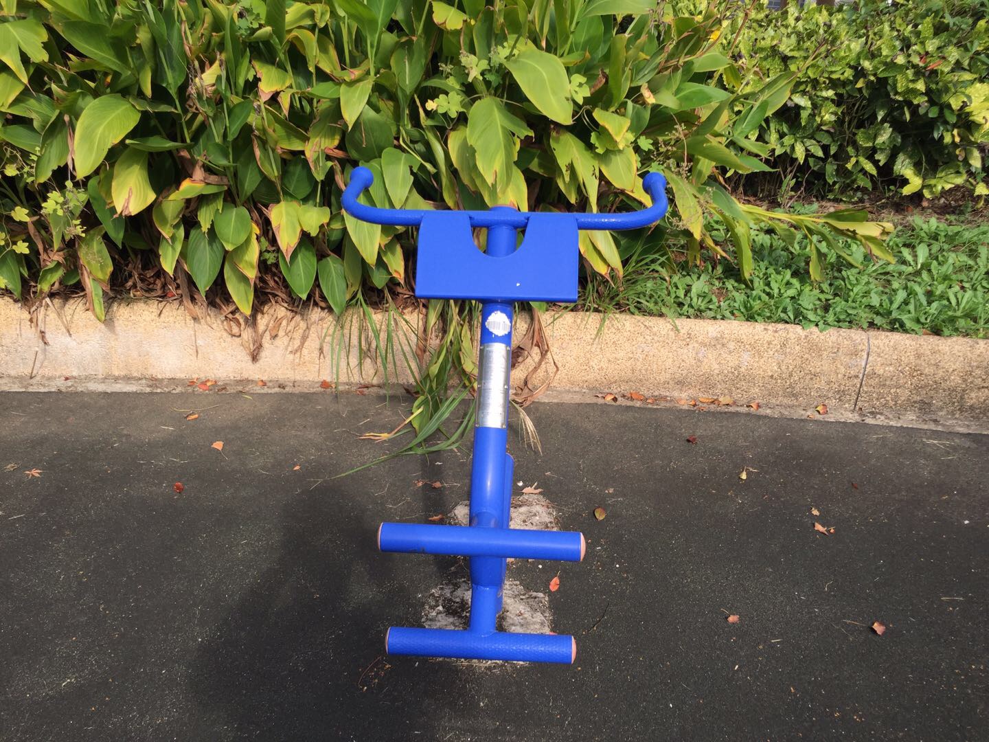 背肌訓練器 背肌訓練器