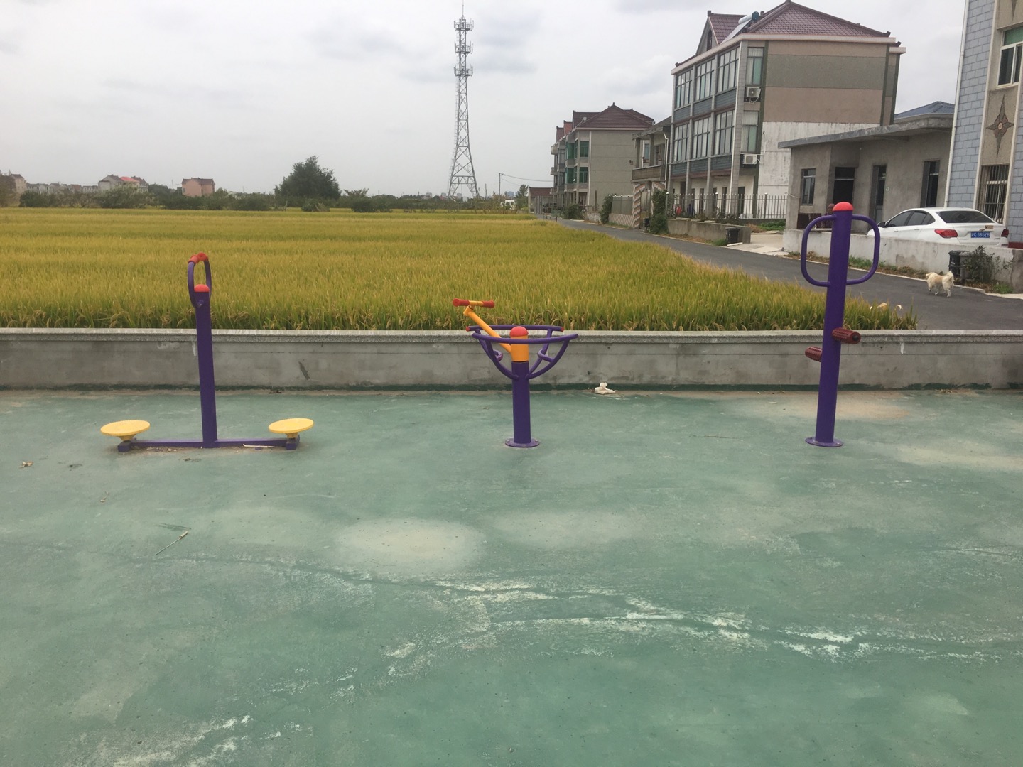 老港鎮(zhèn)建港村民委員會(huì)18組健身苑點(diǎn) 老港鎮(zhèn)建港村民委員會(huì)18組健身苑點(diǎn)