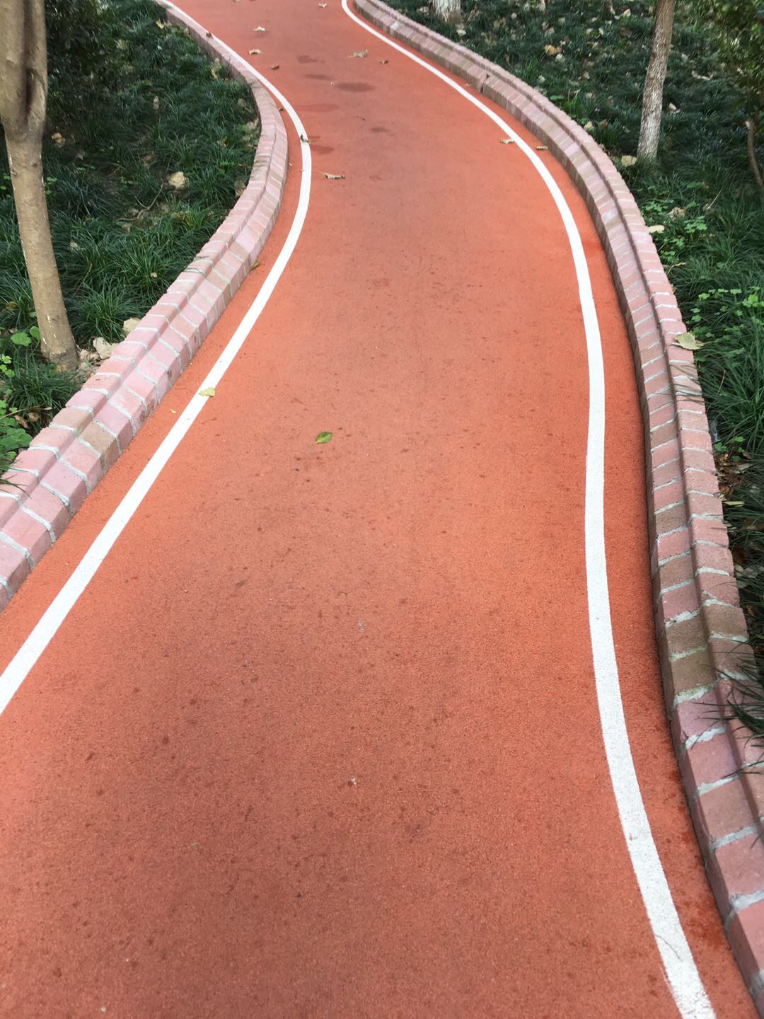 中遠兩灣城市民健身步道 中遠兩灣城市民健身步道
