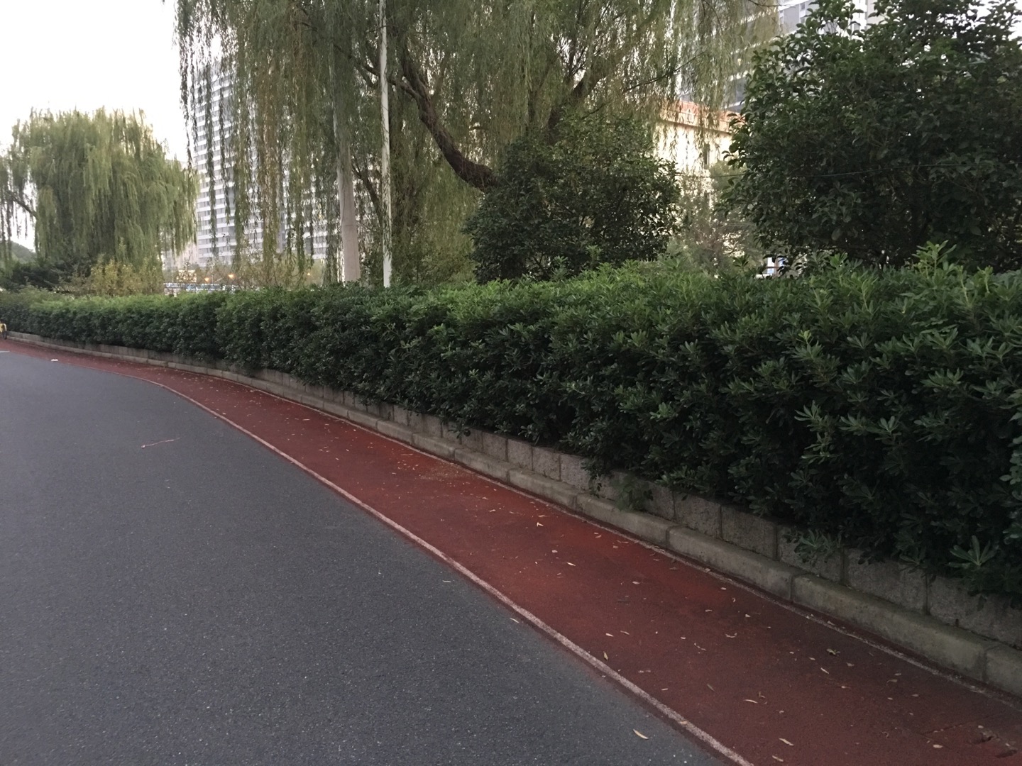 天地軟件園市民健身步道二 天地軟件園市民健身步道二