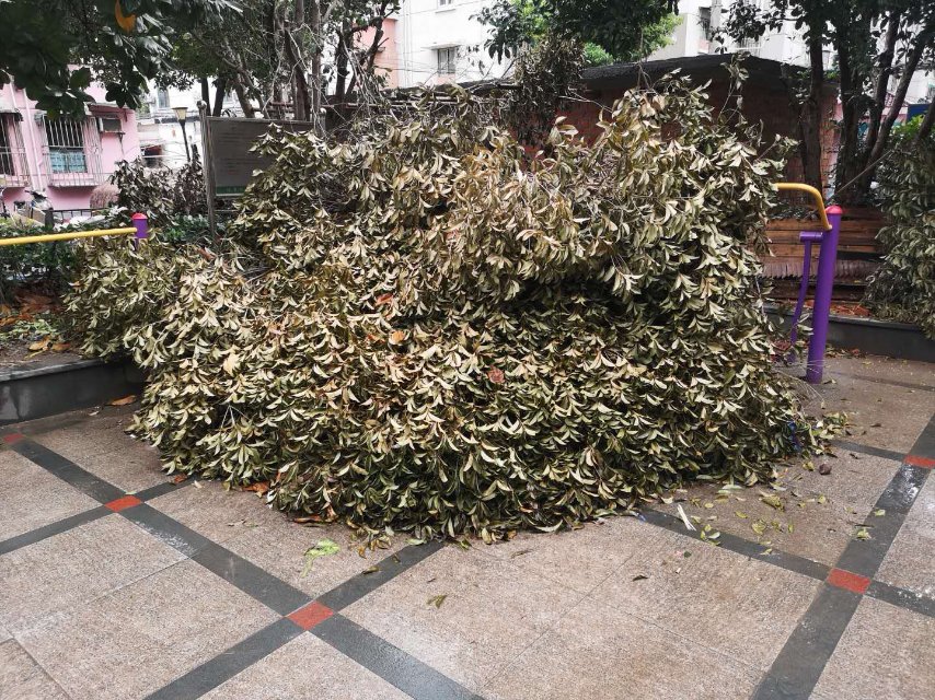 五四中港二村綠地健身點