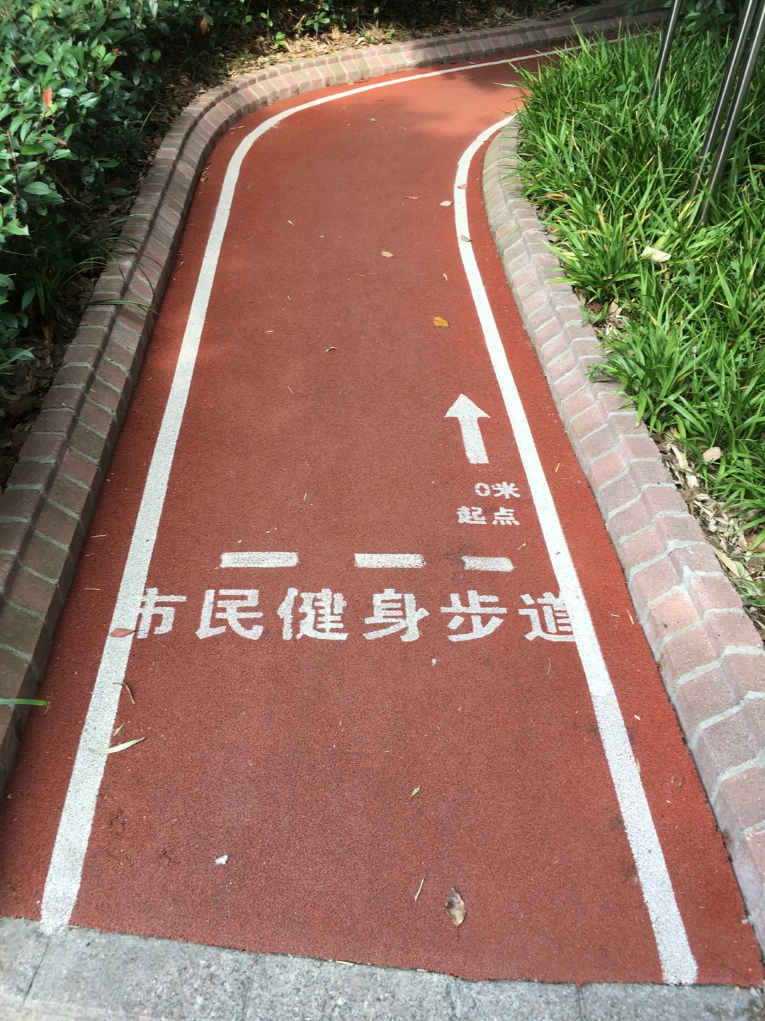 中關村市民健身步道1 中關村市民健身步道1