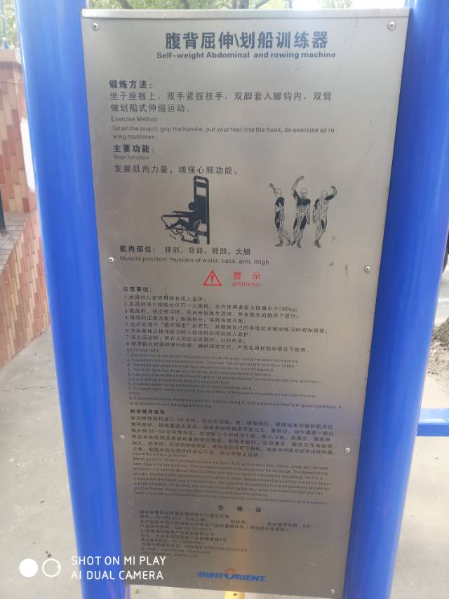 腹背屈伸/劃船訓練器 腹背屈伸/劃船訓練器