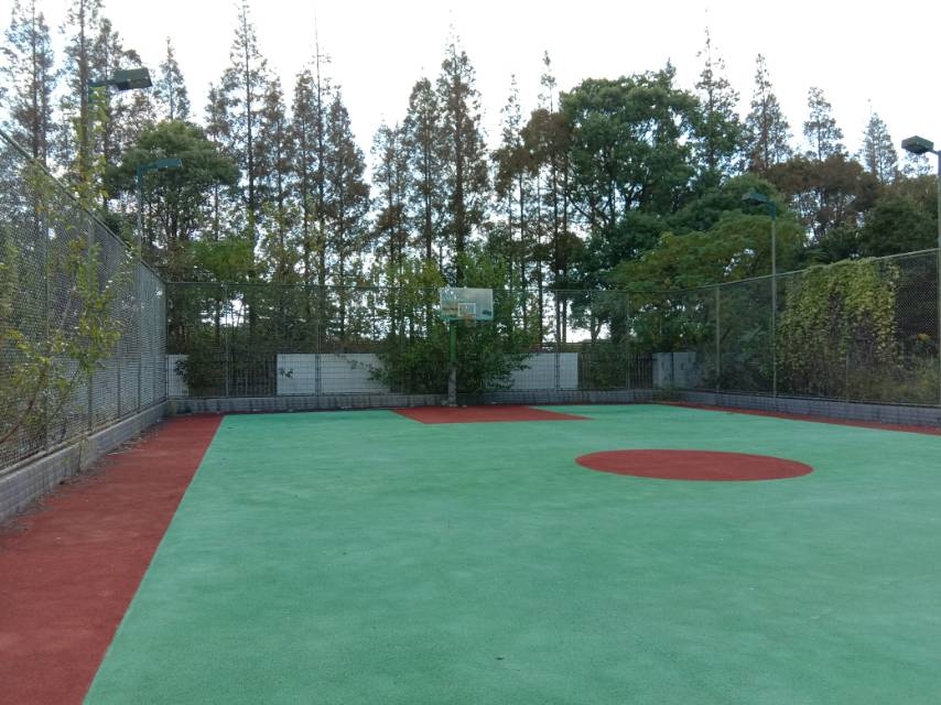 向化鎮公共球場 向化鎮公共球場