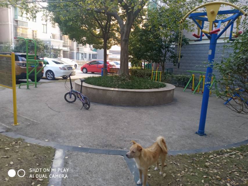 齊愛佳苑市民益智健身點2