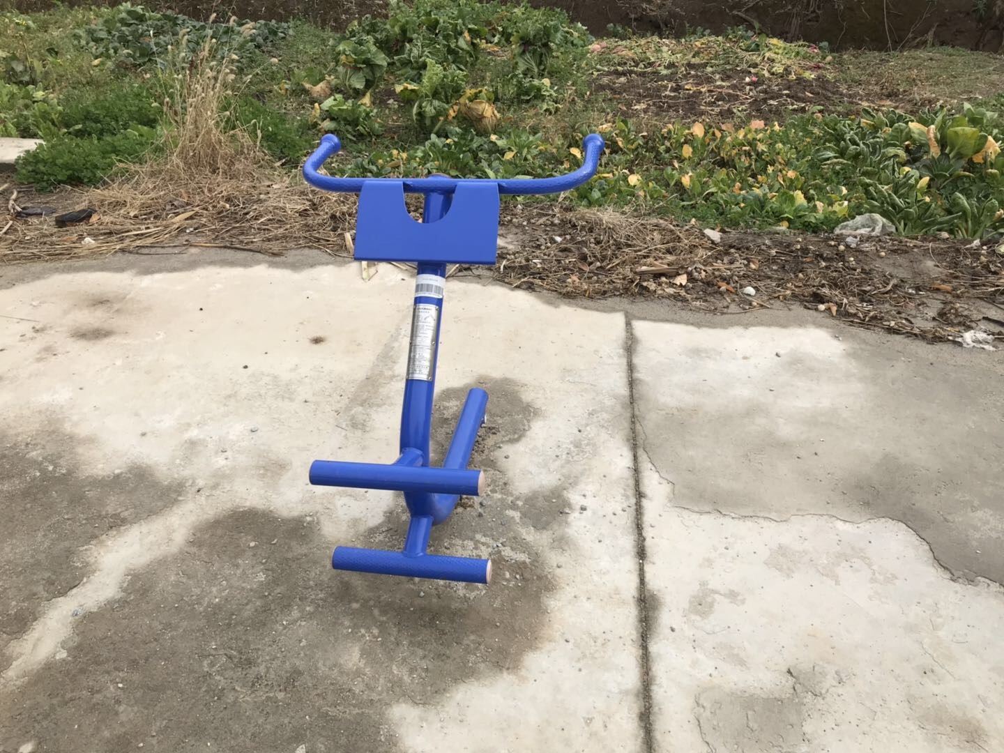 背肌訓(xùn)練器