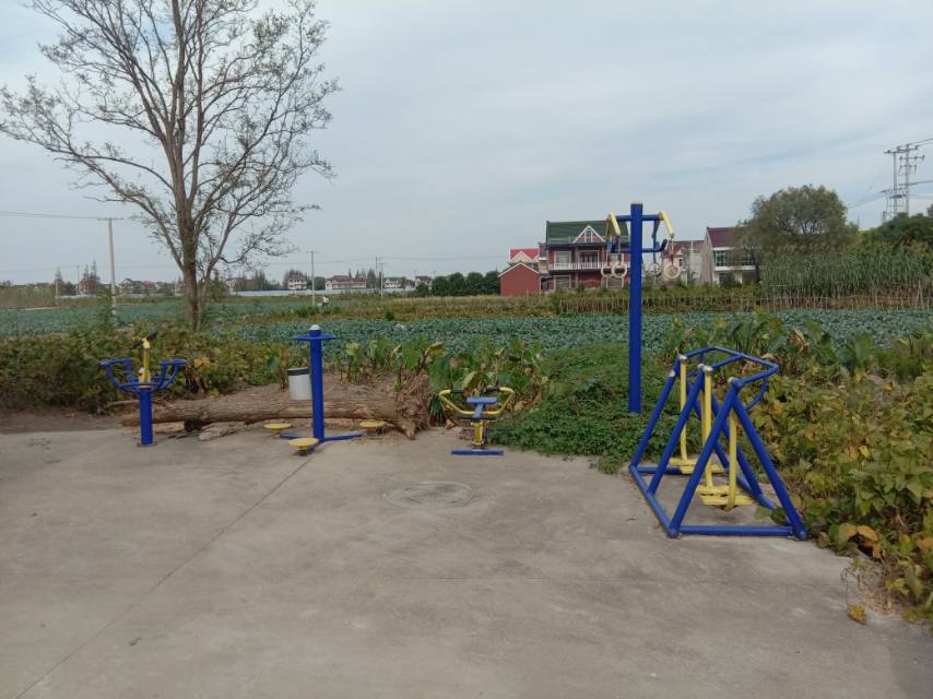 崇明區中興鎮汲浜9隊健身點