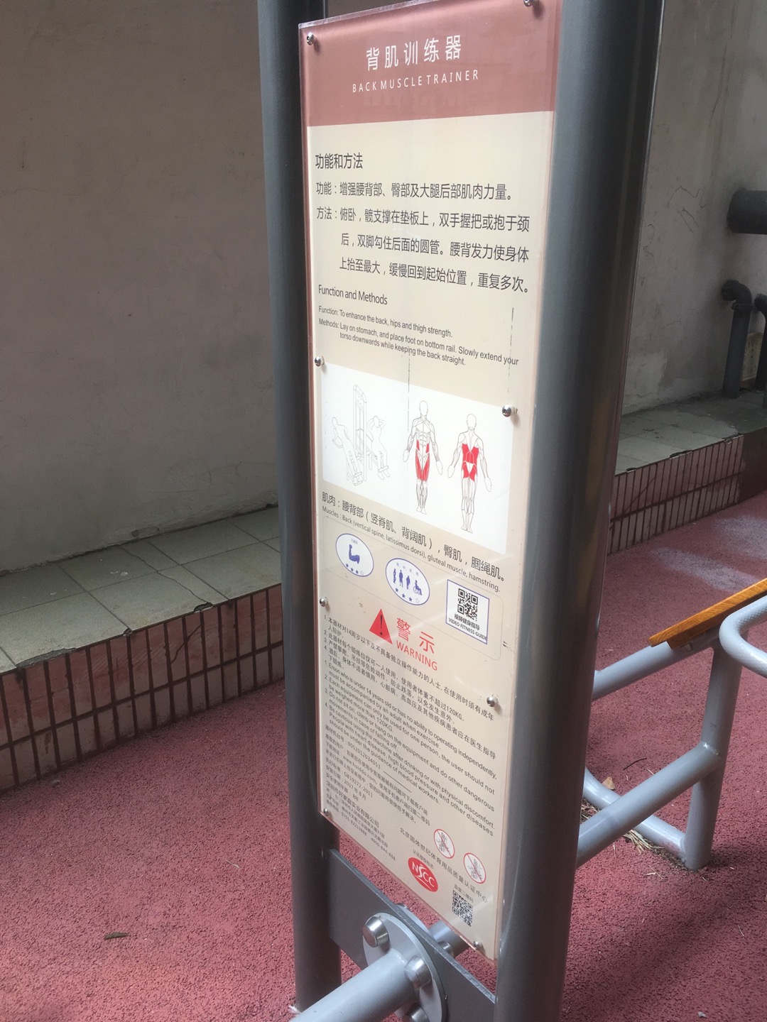 背腹肌訓練器 背腹肌訓練器