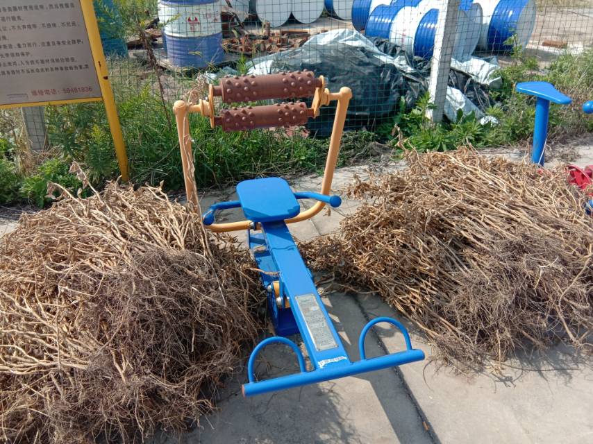 腹背屈伸訓練器 腹背屈伸訓練器