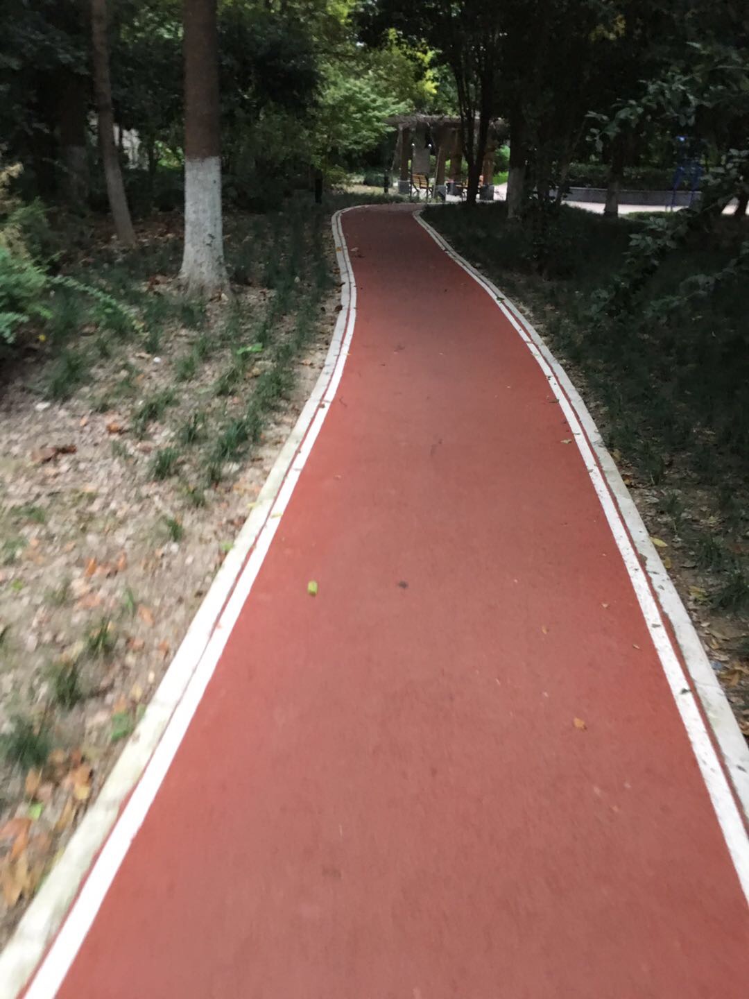 中環花苑市民健身步道 中環花苑市民健身步道