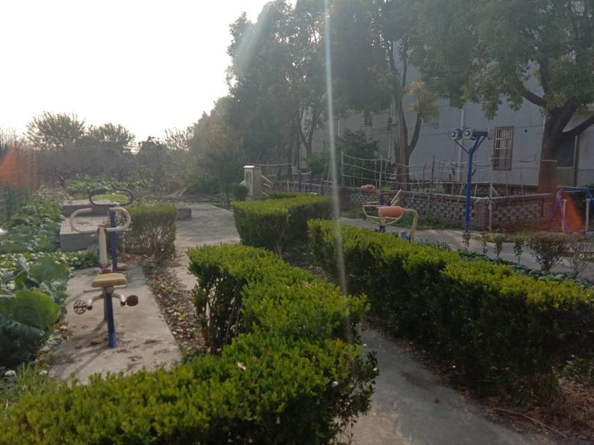 團結村7號健身點