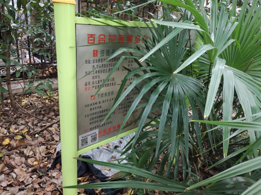 百合花園健身點