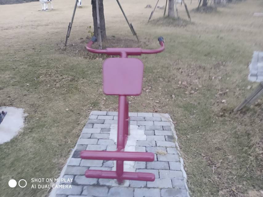 背肌/腹肌訓(xùn)練器 背肌/腹肌訓(xùn)練器