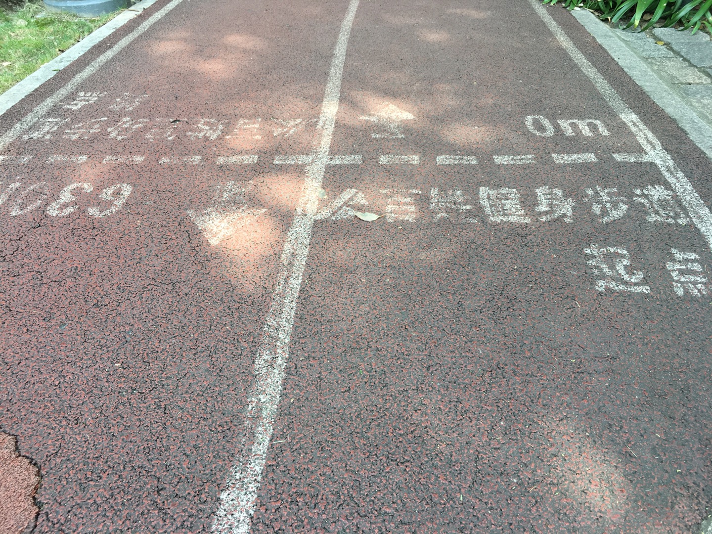 新虹橋中心花園市民健身步道 新虹橋中心花園市民健身步道