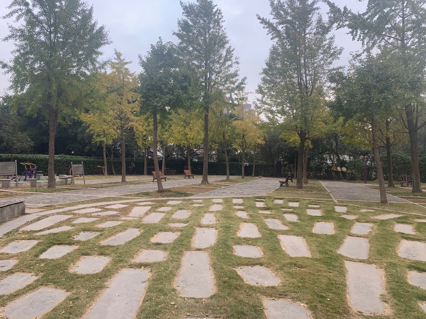 聯洋花園一期健身點