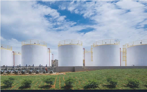 大型全自動化生產基地